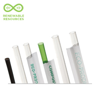 Renewable & Compostable Straws